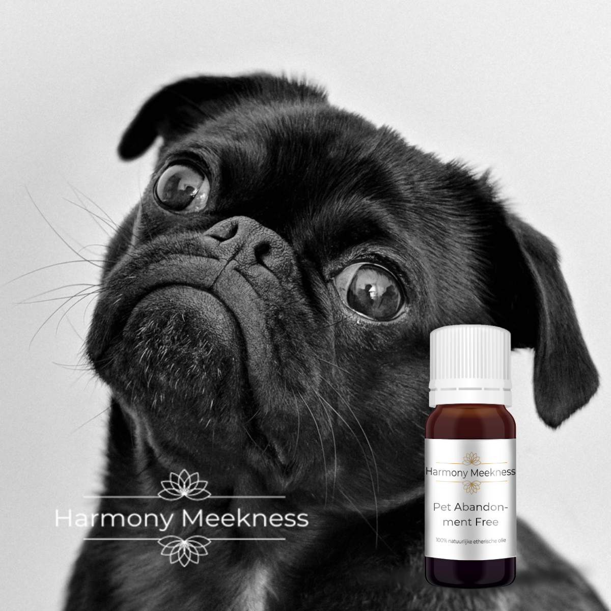 Etherische olie | Pet abandonment Free | 10 ml.