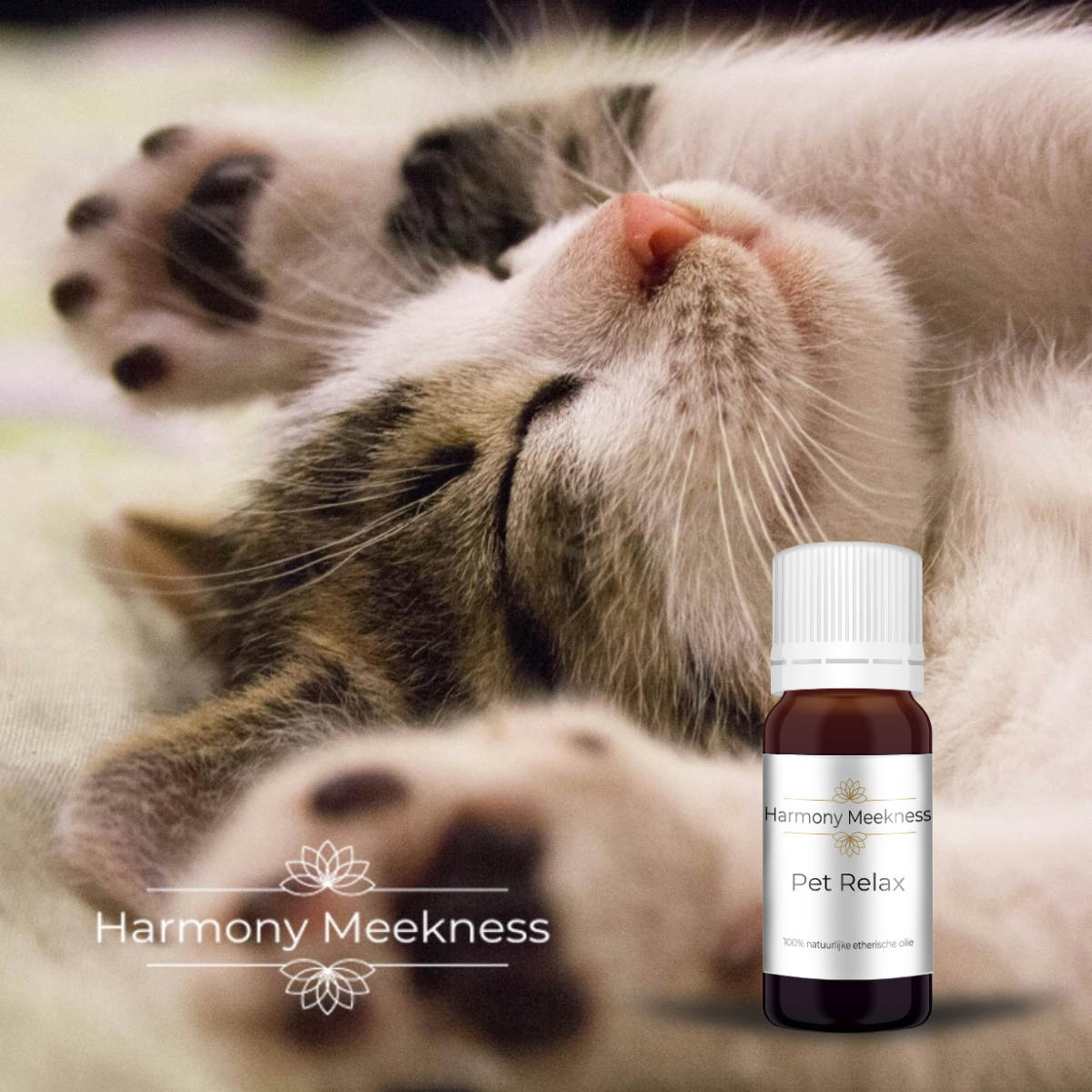 Etherische olie | Pet Relax | 10 ml.