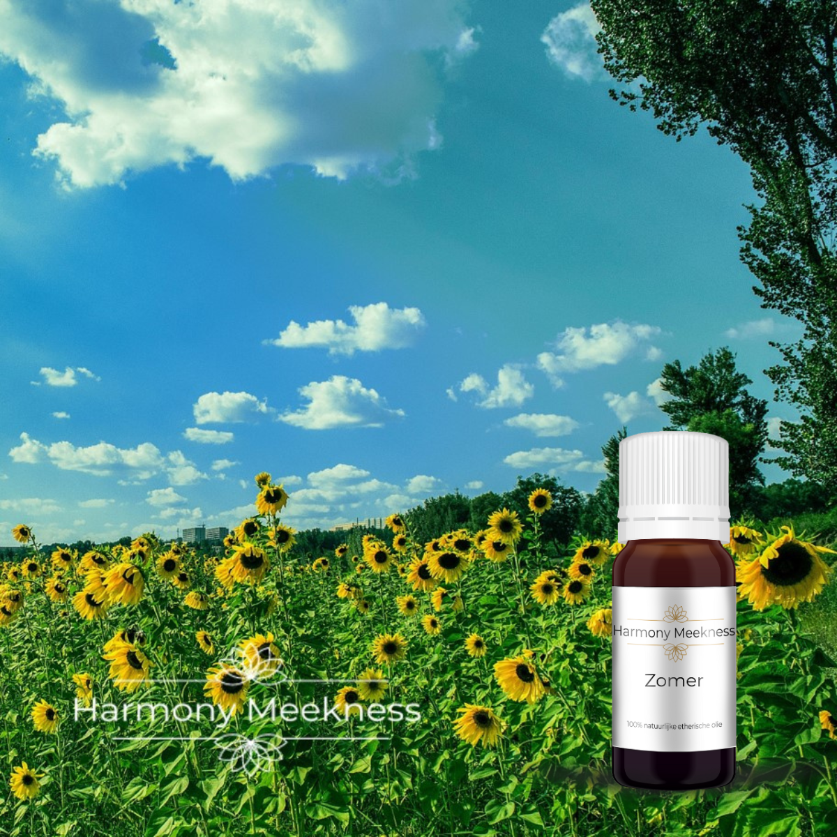 Etherische olie | Zomer | 10 ml.