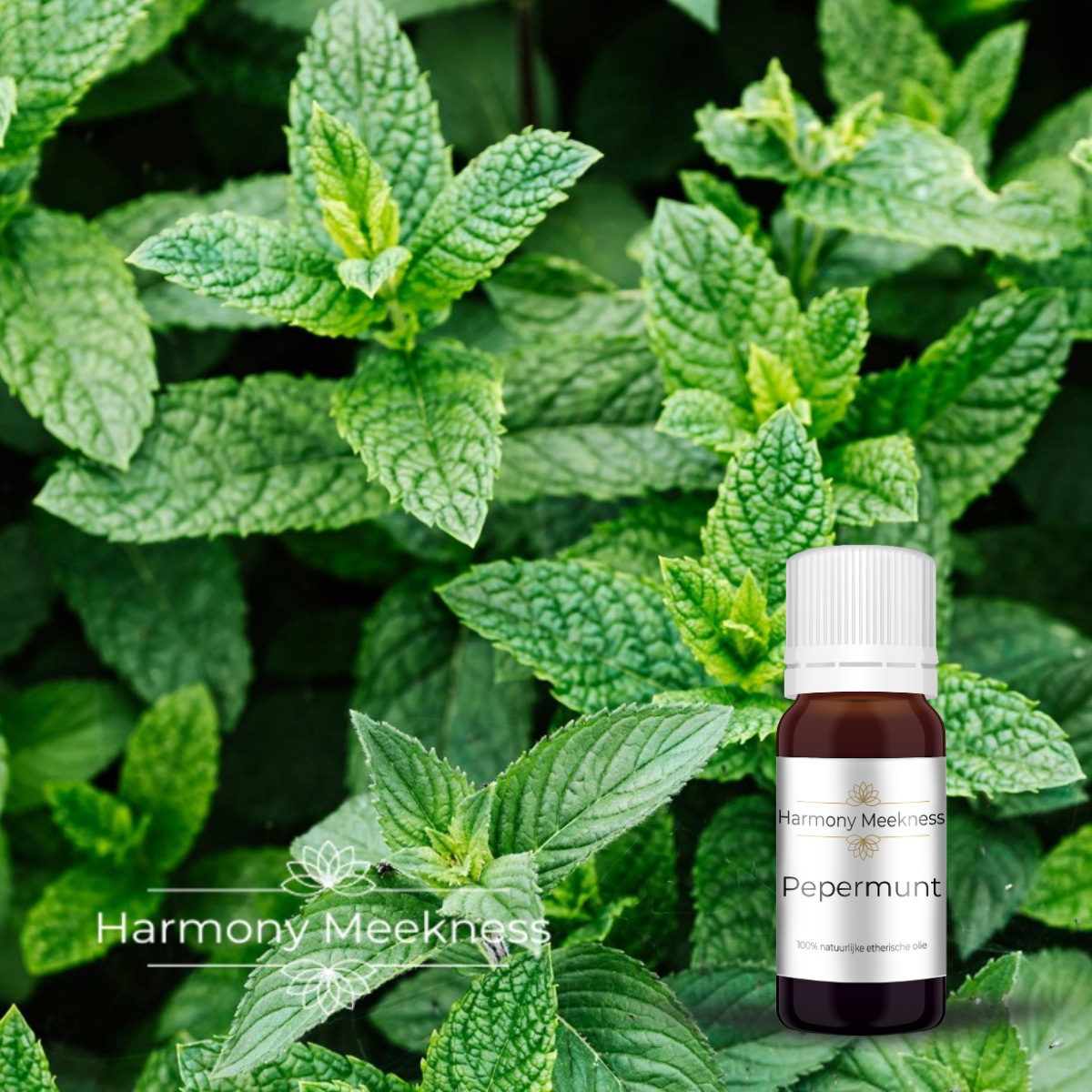 Etherische olie | Pepermunt | 10 ml.