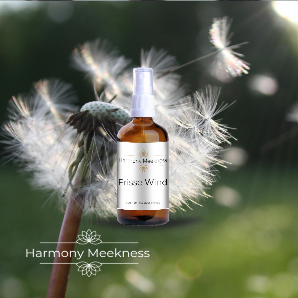 Etherische olie Spray | Frisse wind | 100ml