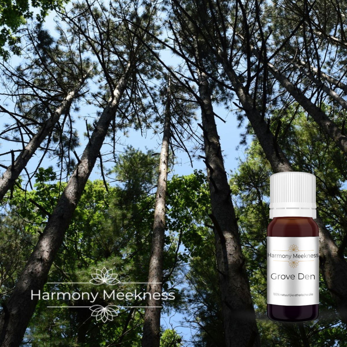 Etherische olie | Grove Den | 10 ml.