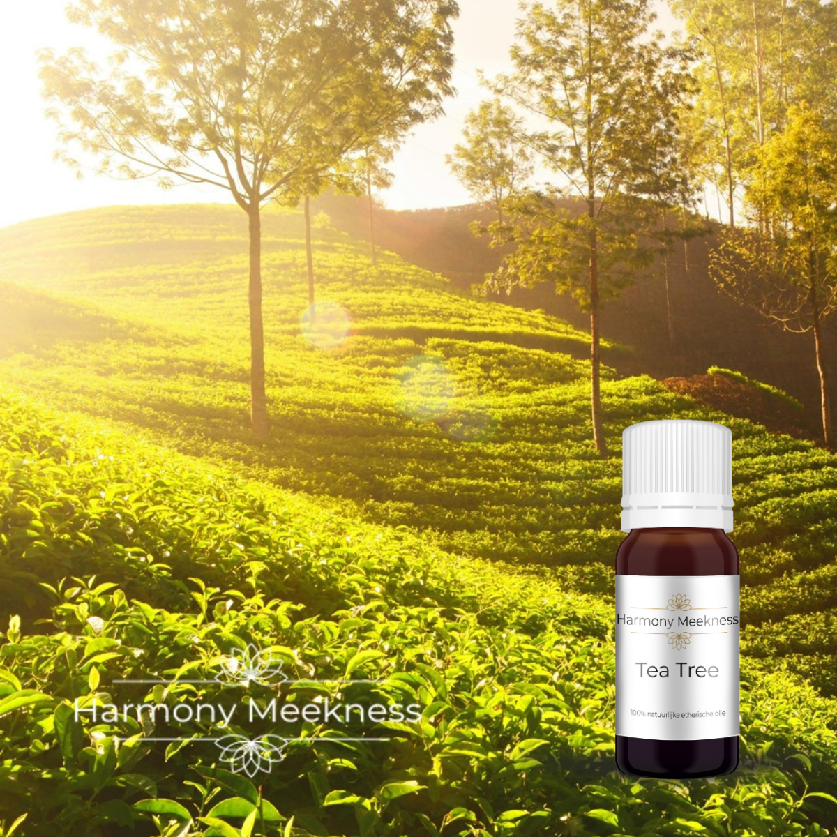 Etherische olie | Tea Tree | 10 ml.