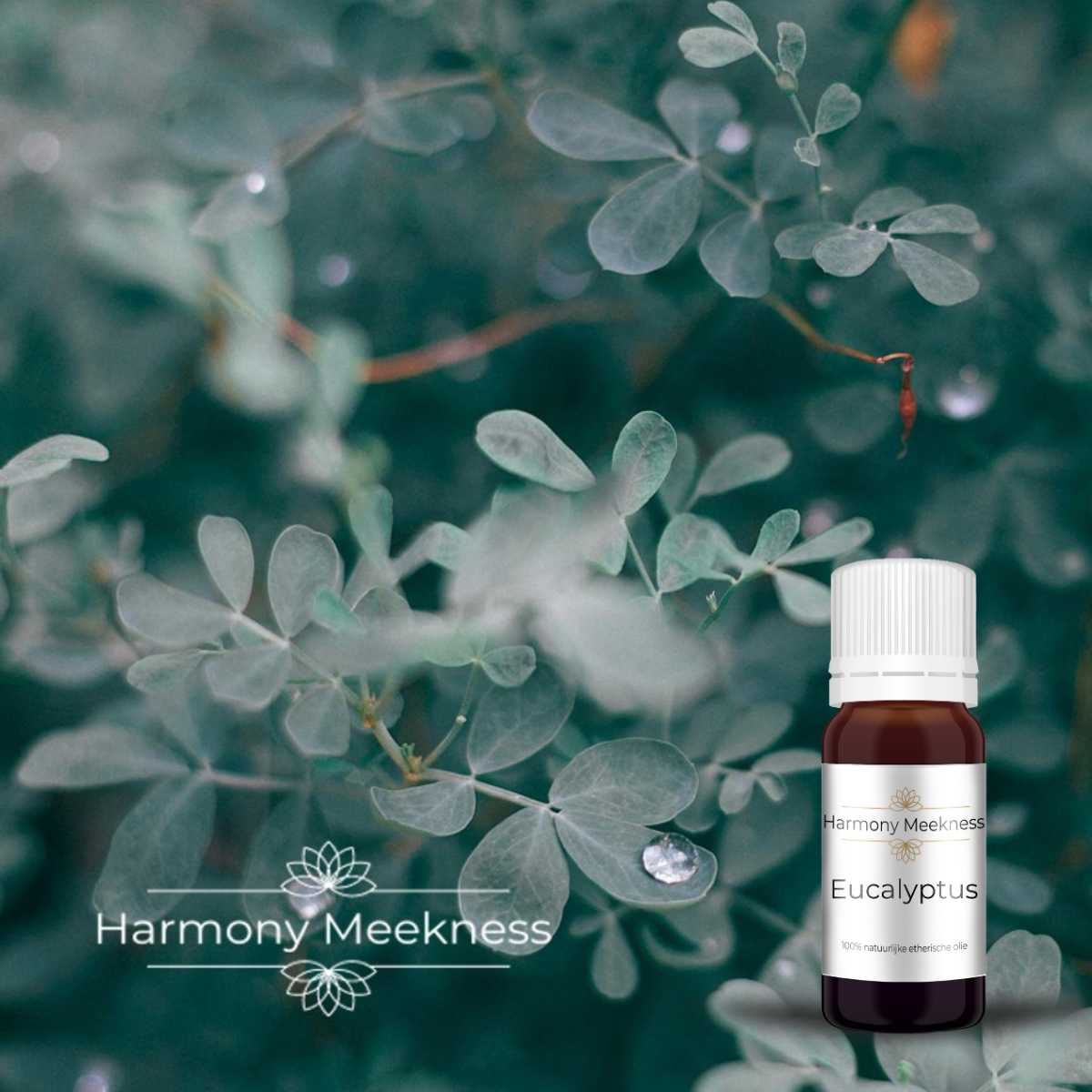 Etherische olie | Eucalyptus | 10 ml.