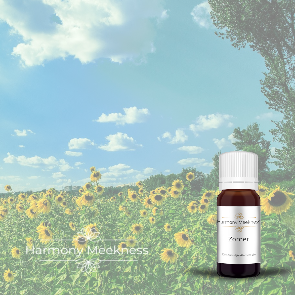 Etherische olie | Zomer | 10 ml.