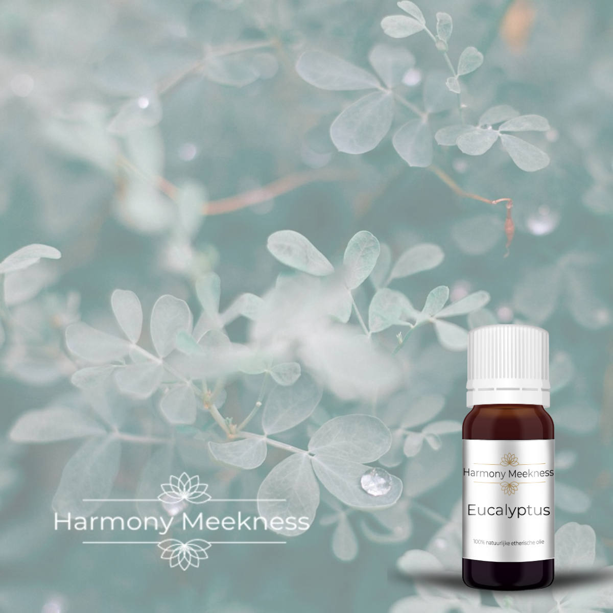 Etherische olie | Eucalyptus | 10 ml.