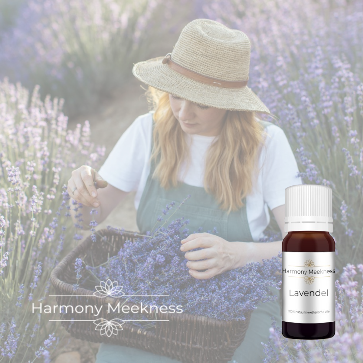 Etherische olie | Lavendel | 10 ml.