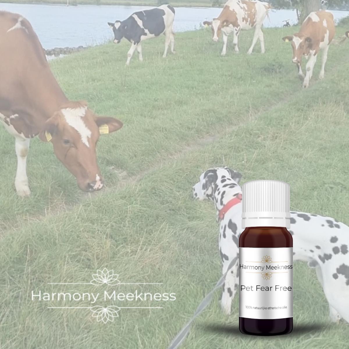 Etherische olie | Pet Fear Free | 10 ml.