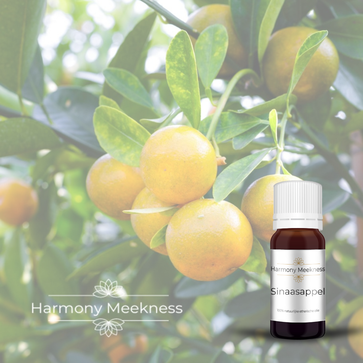 Etherische olie | Sinaasappel | 10 ml.