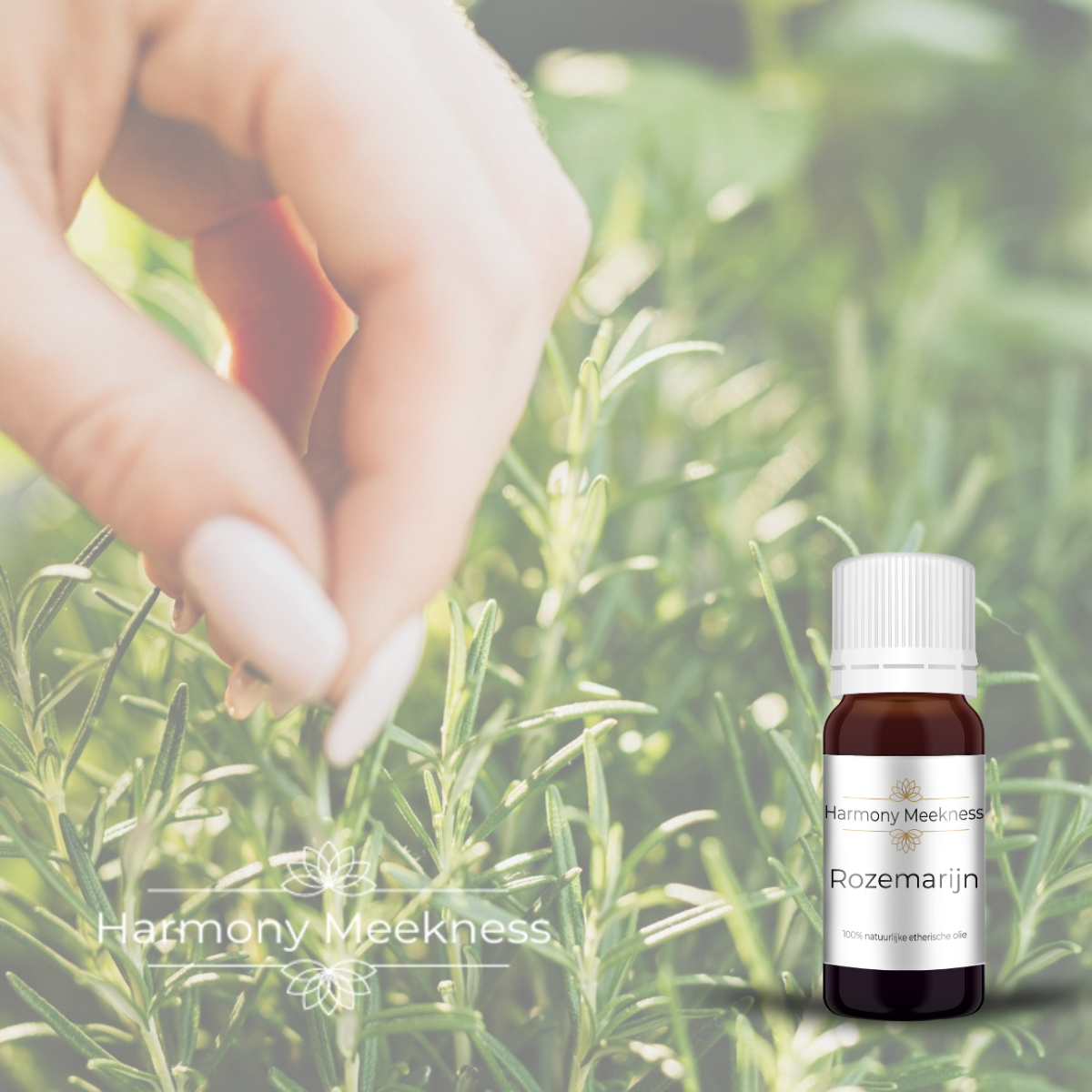 Etherische olie | Rozemarijn | 10 ml.