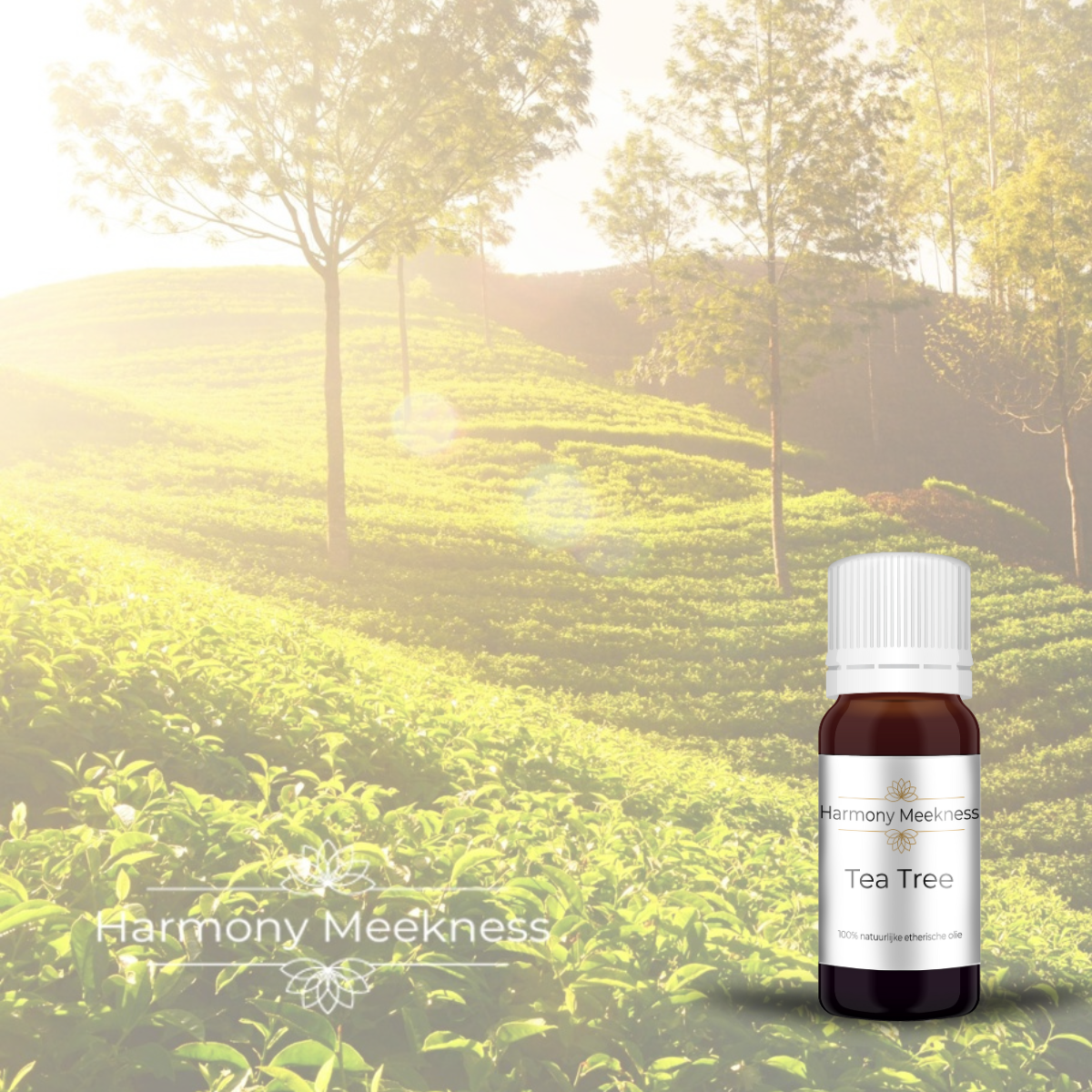 Etherische olie | Tea Tree | 10 ml.