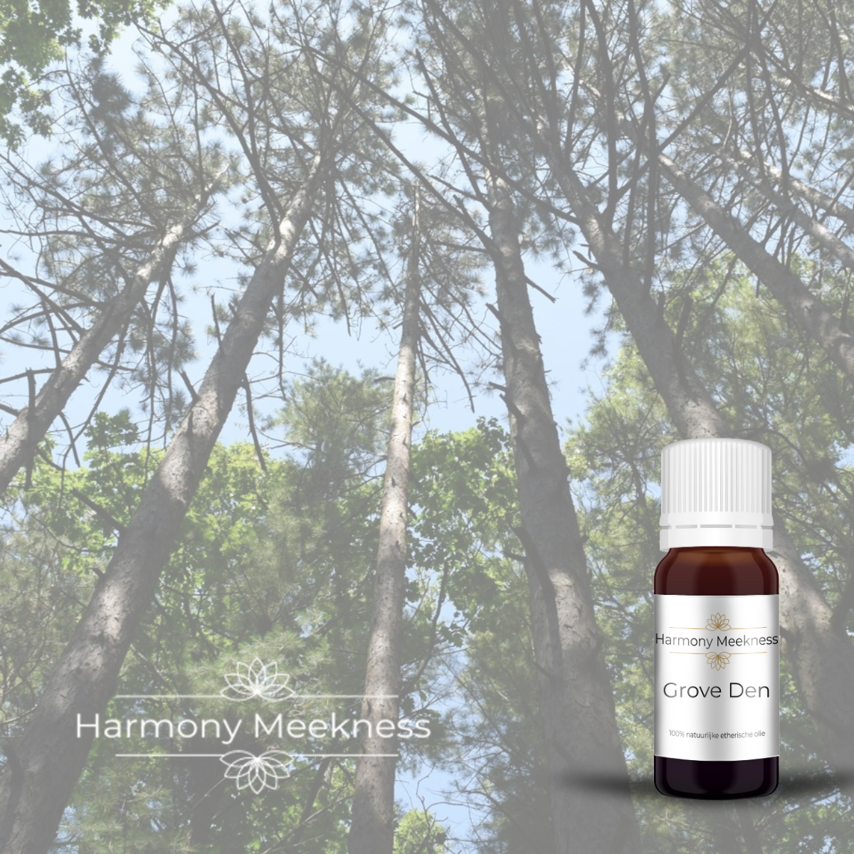 Etherische olie | Grove Den | 10 ml.