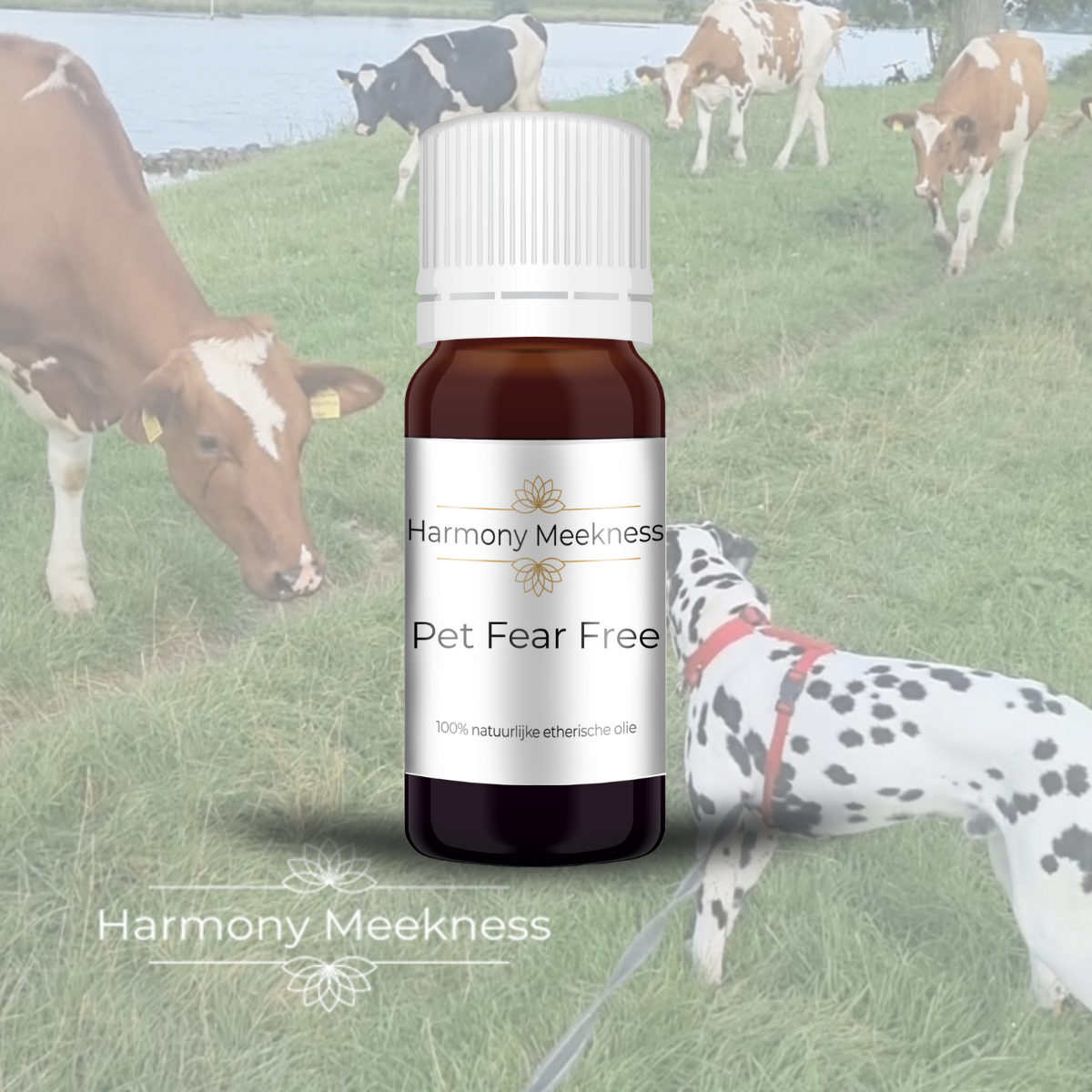 Etherische olie | Pet Fear Free | 10 ml.