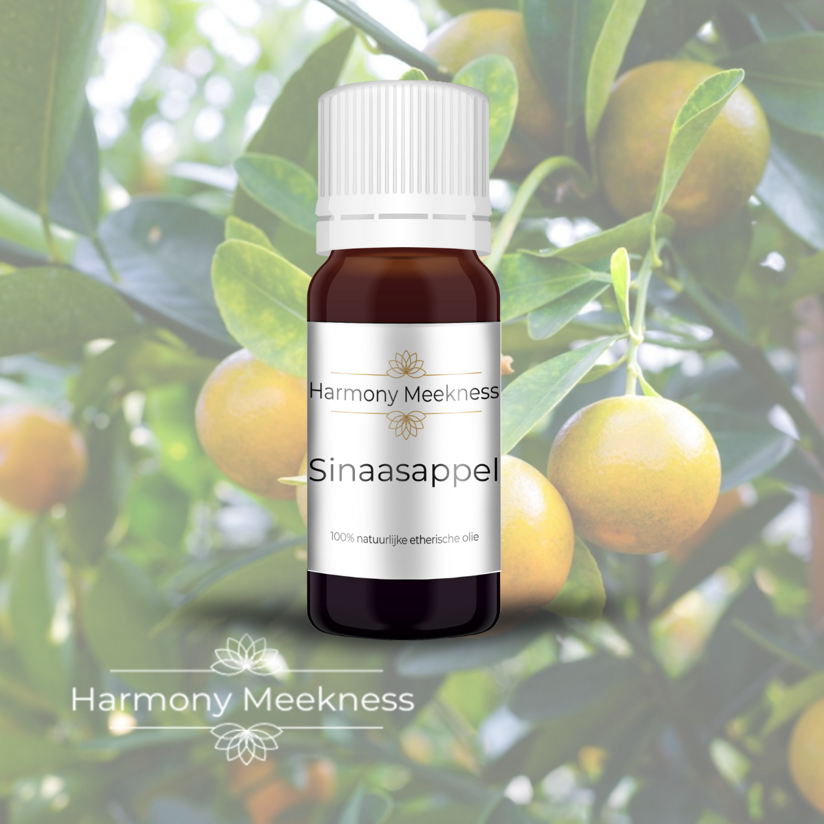 Etherische olie | Sinaasappel | 10 ml.