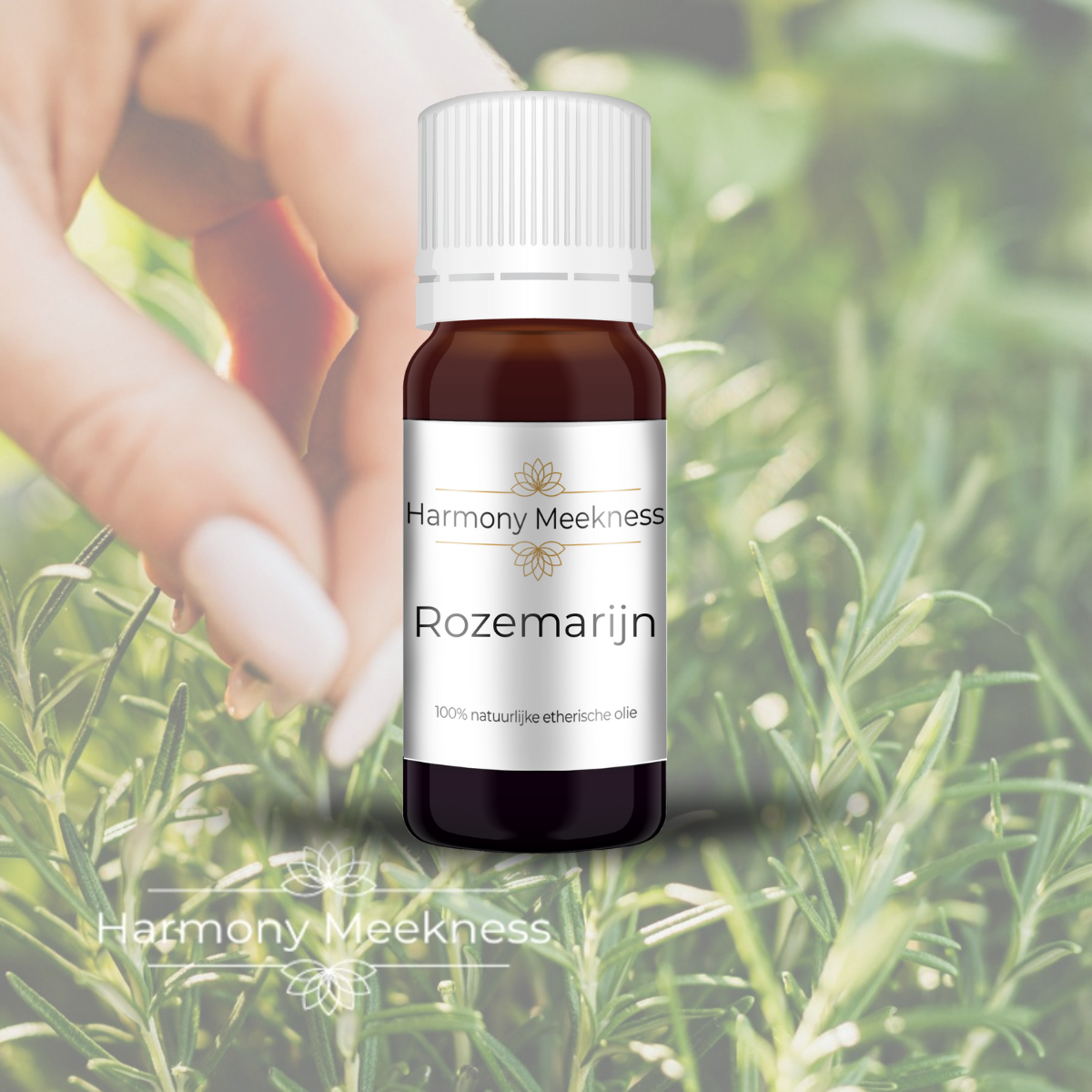 Etherische olie | Rozemarijn | 10 ml.