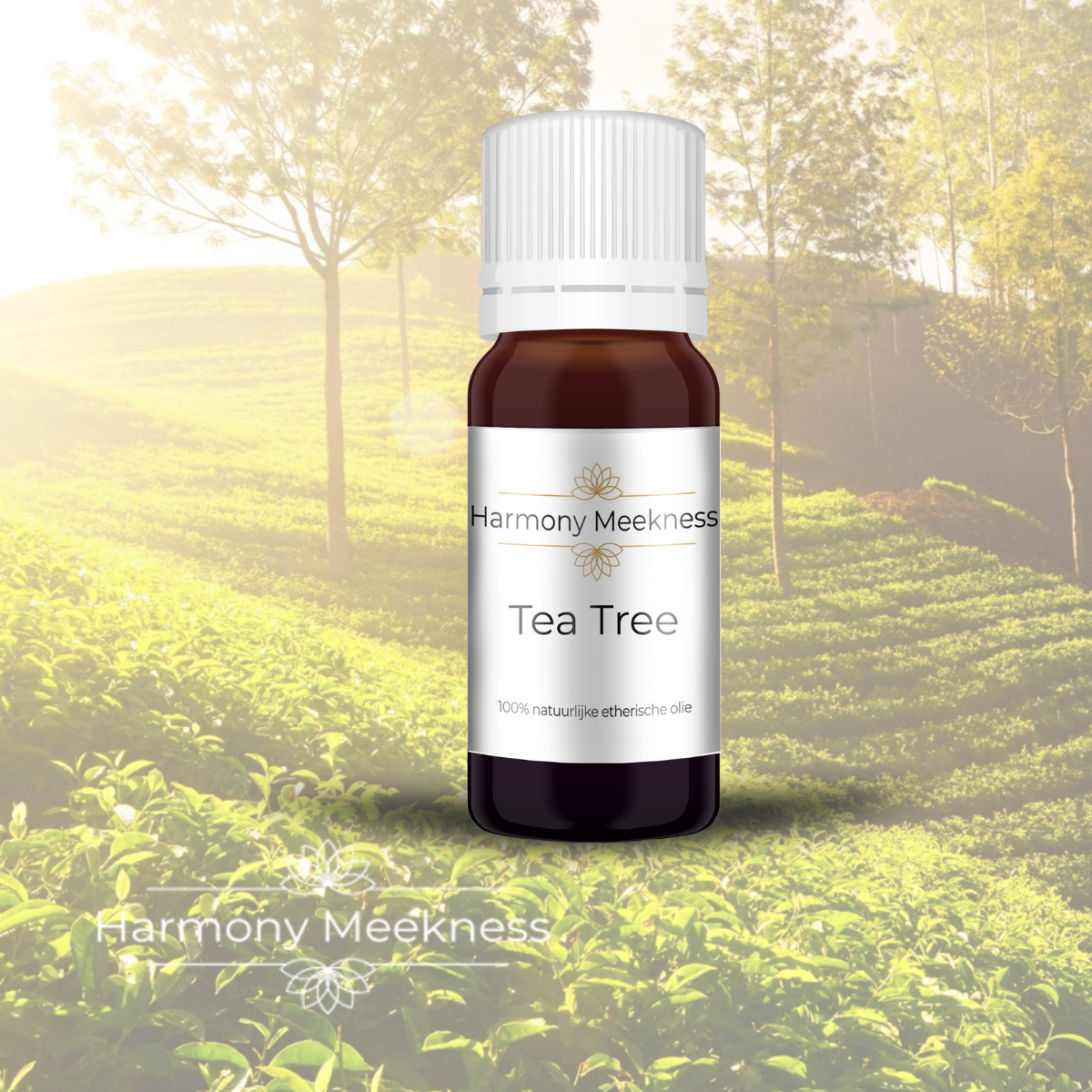 Etherische olie | Tea Tree | 10 ml.