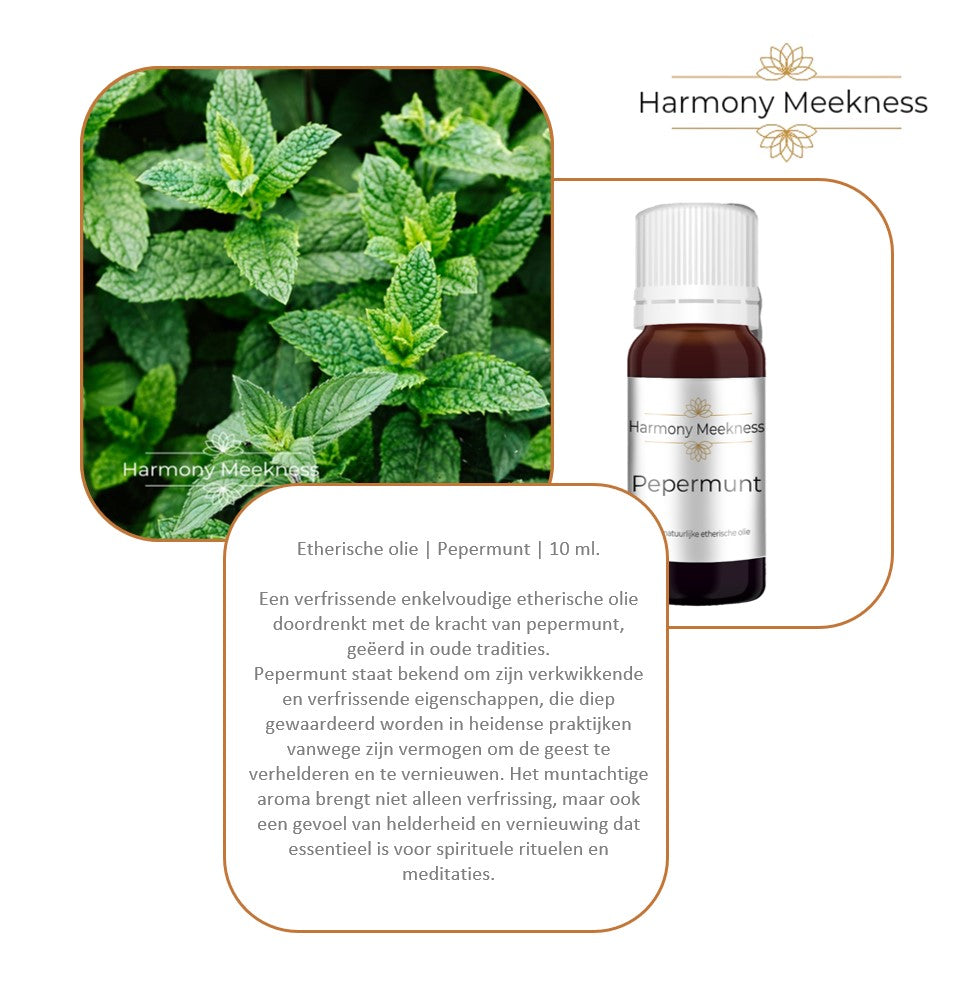 Startset Naturel mist | Wit | Inclusief 6 oliën