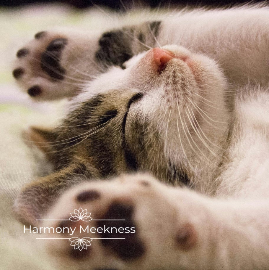 Etherische olie | Pet Relax | 10 ml.