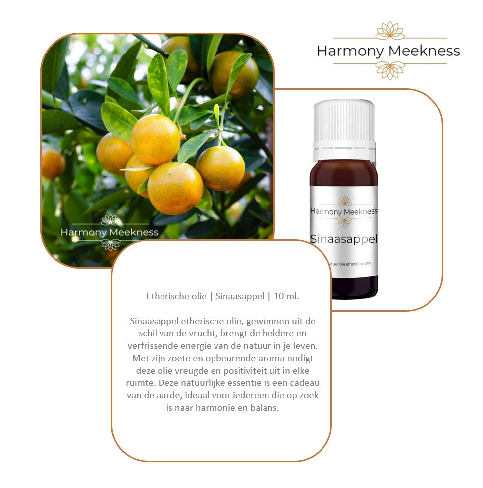Startset Naturel mist | Wit | Inclusief 3 oliën