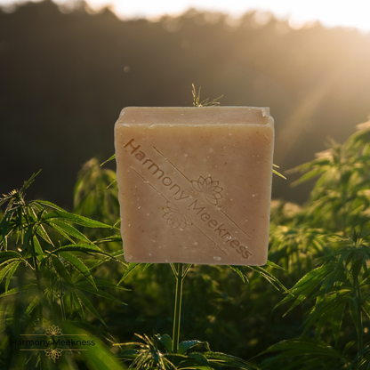 Natuurlijke verzorging | Hair Soap | Hemp | 100 Gram