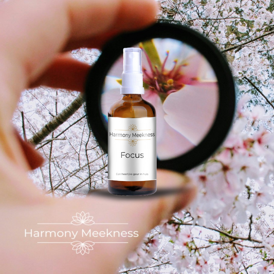 Etherische olie Spray | Focus | 100ml