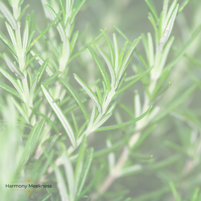 Natuurlijke verzorging | Conditioner | Rosemary |50 gram