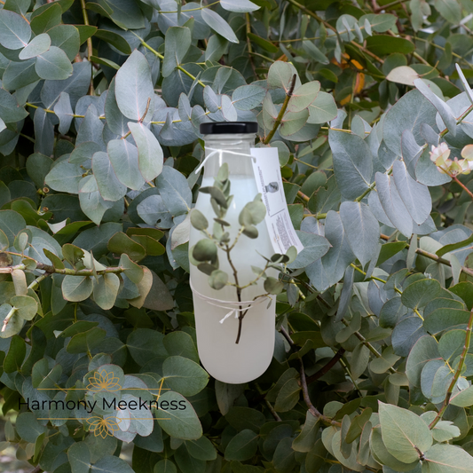 Puur en praktisch | Handgemaakt wasmiddel | Eucalyptus 1 liter