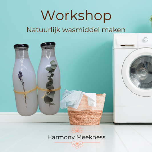 Workshop | Maak je eigen natuurlijke wasmiddel | Puur en praktisch